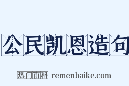 公民凯恩造句是什么意思的图片